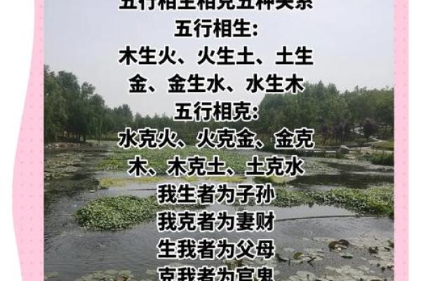 女命八字的命理解读：五行相生相克的奥秘
