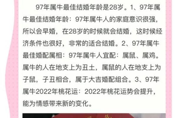 牛女如何在本命年维持健康的生活方式