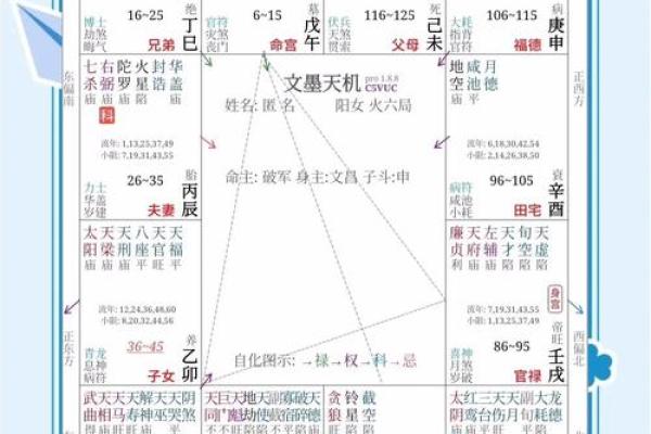 紫薇命格的奥秘解析：如何通过命盘了解自身命运
