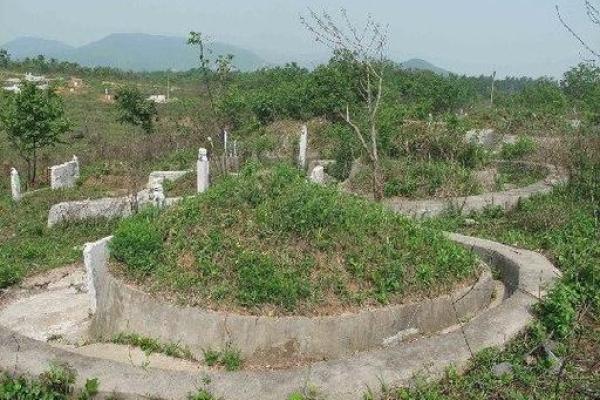 解读风水大师李东明运势，事业与家庭运程解析