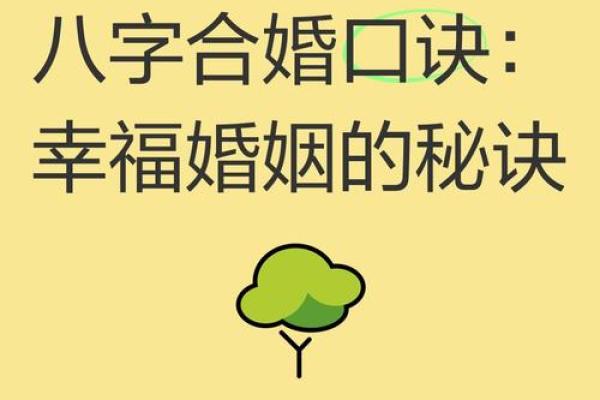 二婚八字合婚的秘诀：如何找到真爱