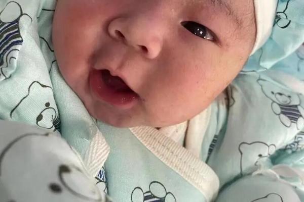 农历出生的孩子，未来会有哪些惊人之举？