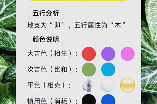 每月五行运势解析：帮你提前规划全年运程