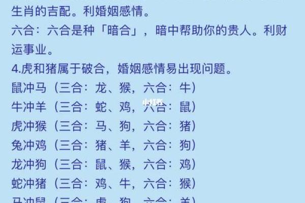 男兔女蛇婚姻是否和谐 生肖配对的深度解析