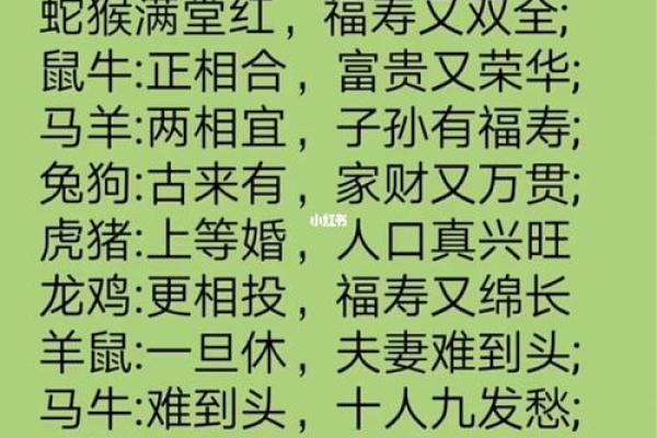 男兔女蛇婚姻是否和谐 生肖配对的深度解析