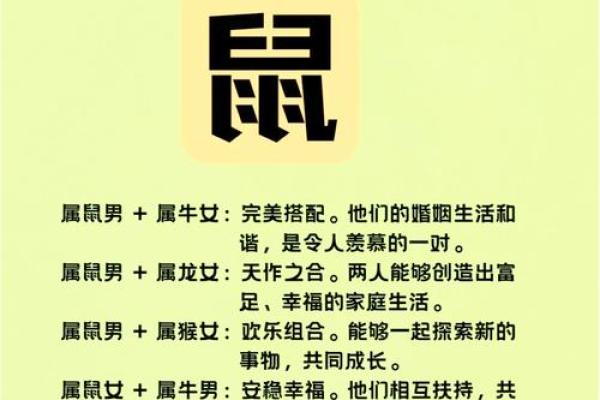 本命年鼠男与合作伙伴的相处之道