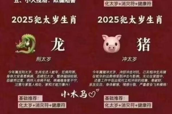 属龙和属猪的感情兼容性分析：是否能够天作之合