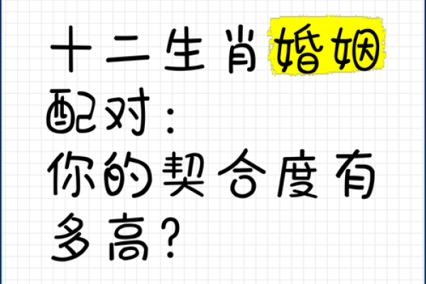 属龙和属猪的感情兼容性分析：是否能够天作之合