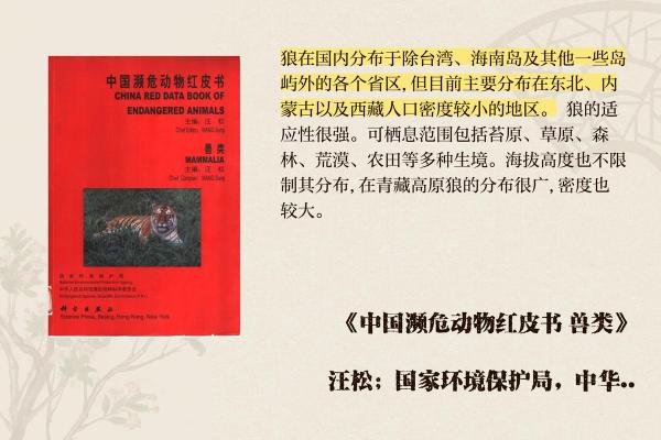 各地民间传说中的狼与名字的关系