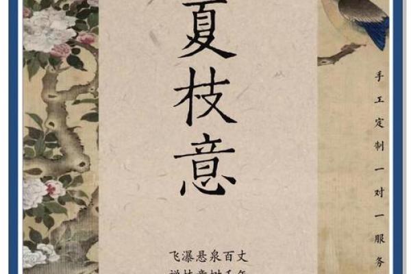 夏姓女孩名字的独特选择与寓意解析