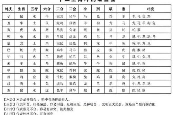 狗龙配对是否合适？揭秘生肖搭配的深层次解析