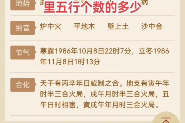 綜字五行分析：如何理解綜字在命理中的作用与影响