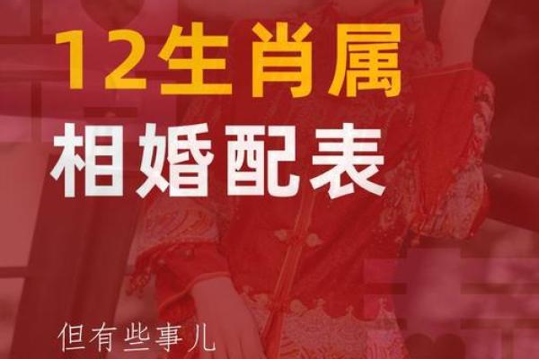 蛇与猪是否合适配对？探究生肖相配的奥秘