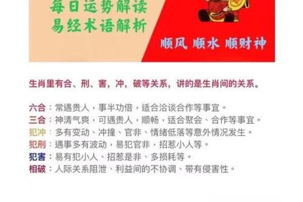 十二生肖今日运势走势，机会与风险同在