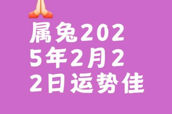 属兔月度运程解析