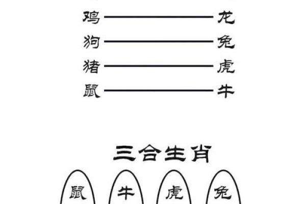 生肖运程解析：哪些生肖运势将迎来转折点