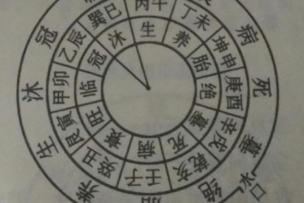 阴命木相人的生活与运势解读