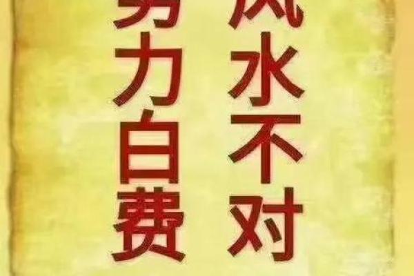 阴命木相人的生活与运势解读