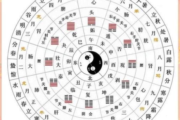 农历是新历还是旧历？专家给你答案！