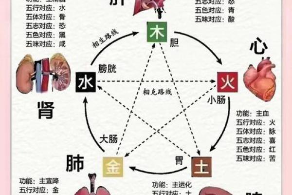 品五行属什么？揭秘五行与品格的关系
