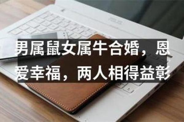 属牛男和属鼠女的性格契合度分析