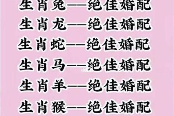 属牛男和属鼠女的性格契合度分析