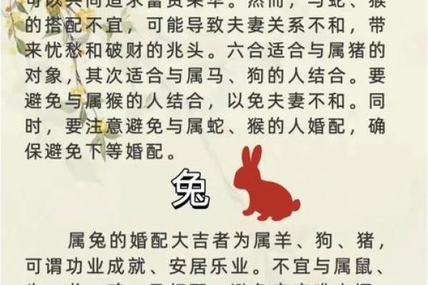 从生肖角度解读羊与猪的配对优势