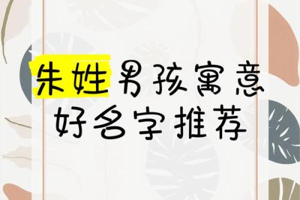 朱姓男孩名字解析：如何选择合适的名字