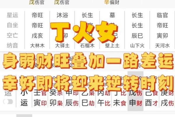 风水八运预测最赚钱的行业趋势分析