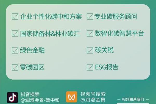 碳科技创新引领未来企业命名趋势