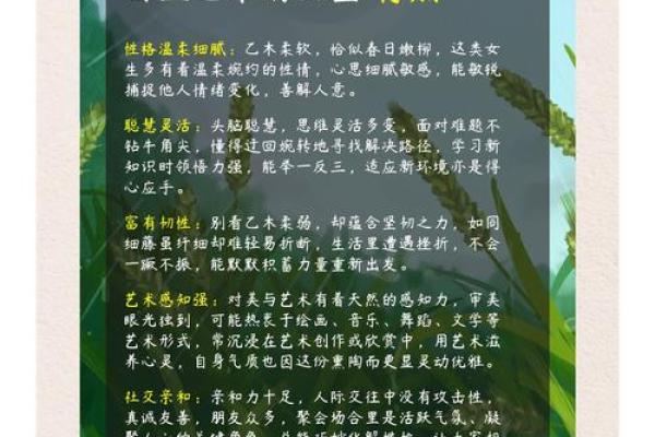 已木命的定义与特点揭秘