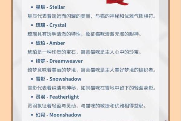 英文起名网的优势：轻松为孩子取个洋气名字