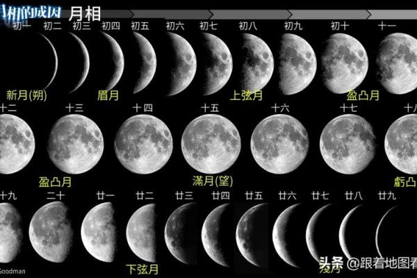 农历对照表大全：从年初到年末全覆盖