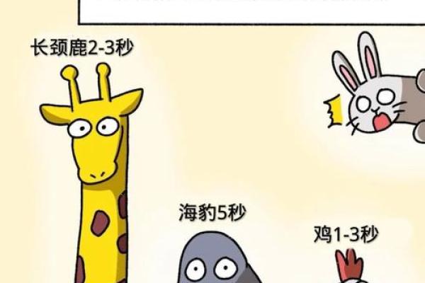兔与马的星座配对分析 是否天作之合