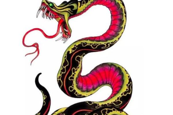 属鸡与属蛇的相性如何