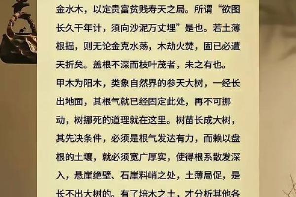 坤字五行属性解析及其在命理中的意义