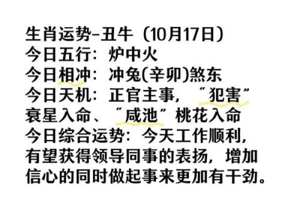 今日运程预测：生肖运势全面分析