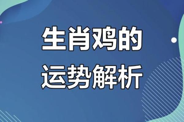 属鸡人每月运程解析，运势起伏如何应对