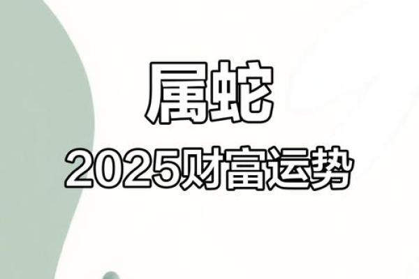 属蛇运势预测：如何把握财运与健康