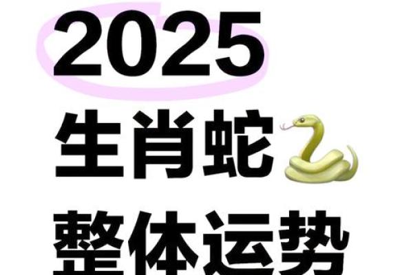 属蛇运势预测：如何把握财运与健康