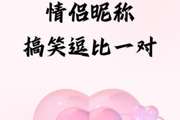 逗比名字背后的趣味与创意