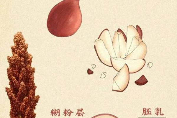 酒名里的传统与创新，探索不同地区的酿酒特色