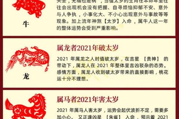 探索女龙和男虎的性格与婚配契合度