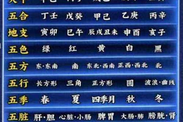 五行属性解析：如何运用五行提升你的运势与生活质量