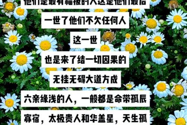 仙命的真正含义是什么？揭秘背后的深刻内涵
