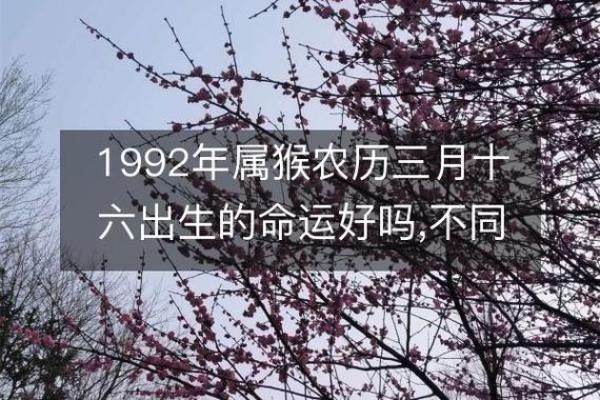 为什么农历三月十六特别值得关注