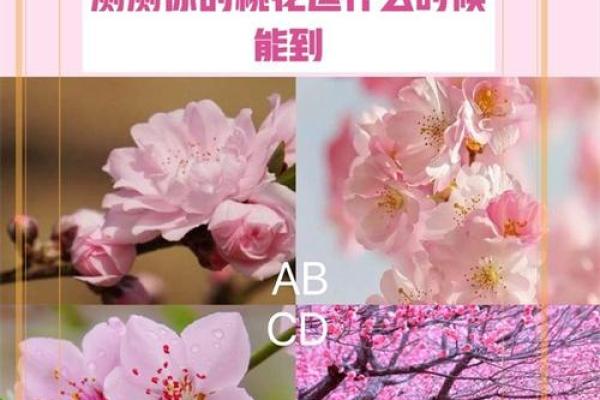 女性桃花运不佳时该如何调整心态