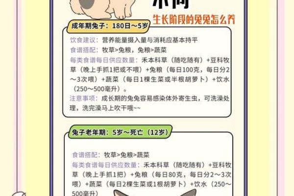 兔女运程大揭秘：如何在兔年获得事业突破