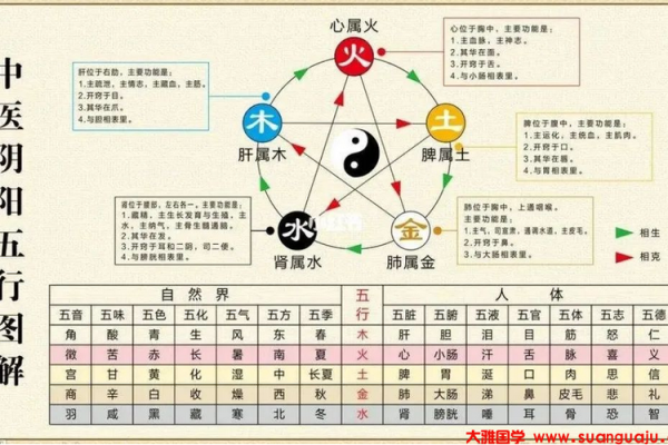 金木水火土五行与生辰八字的奥秘，如何改变你的人生运势