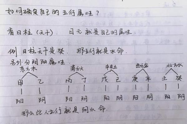 戊午月五行解析：如何理解其对命运的影响